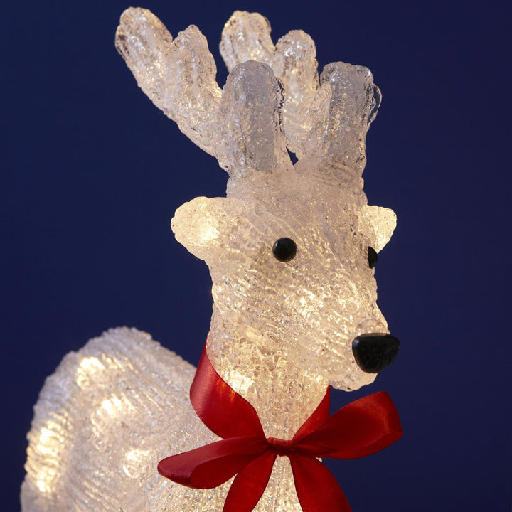 Acrylic reindeer decoration surrounded by holiday trees.