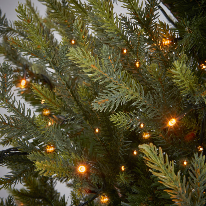 Embrace the warmth of the holidays with a 6-foot Carolina Christmas tree glowing in soft, inviting warm white lights.