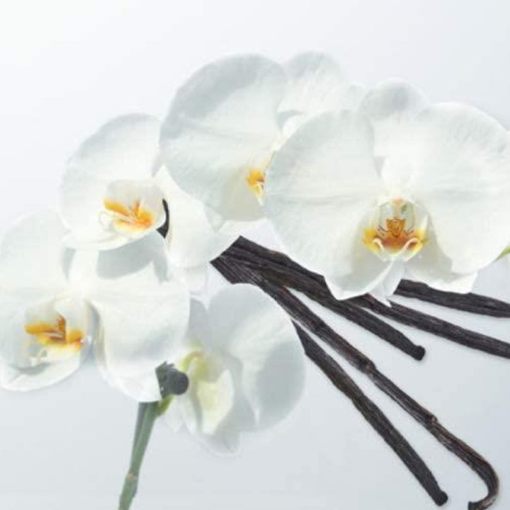 Enjoy the comforting aroma of vanilla with these Yankee Reed Diffuser Refill Sticks - 5 count.