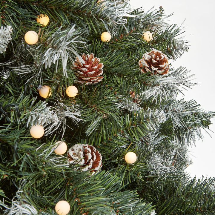 Choose the perfect size for your space: 6ft or 7ft Winchester Christmas Tree.